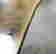 item-17753184=10