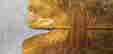 item-17753184=8