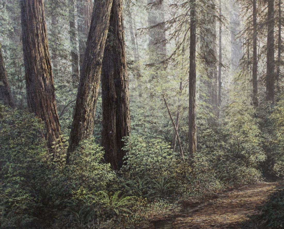 PAUL MOON (USA Born 1927): Forest scene. Oil on canvas, signed and dated '81. From an Astoria NY estate. - Dimensions: 20" x 24" & Framed 22" x 27"