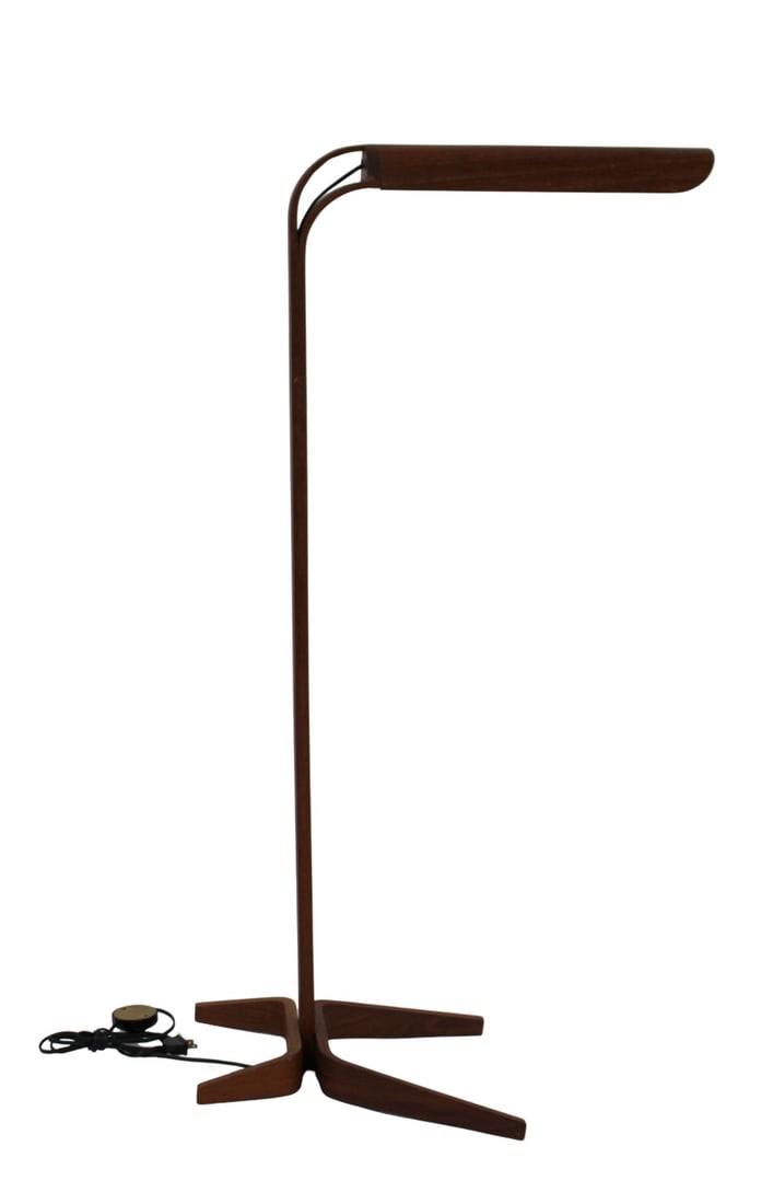 Modernist Teak Bentwood Floor Lamp. (1 of 7)