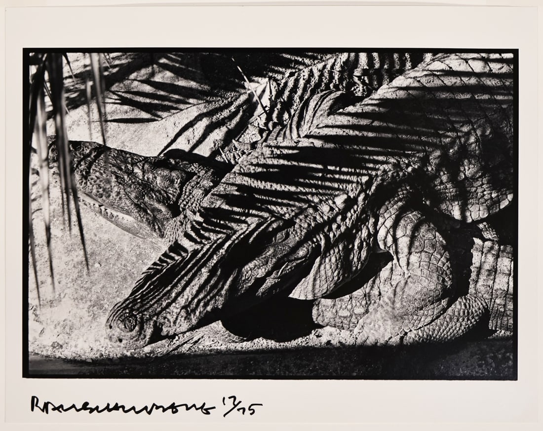 ROBERT RAUSCHENBERG (AMERICAN, 1925-2008).: Untitled' (Alligator, Fort Meyer). 1979/1991. Gelatin silver print. Signed and numbered '17/25' lower left in black marker. Property of a Pompton, NJ estate. Dimensions: Plate: 8.50" h x 13" w. Sheet: