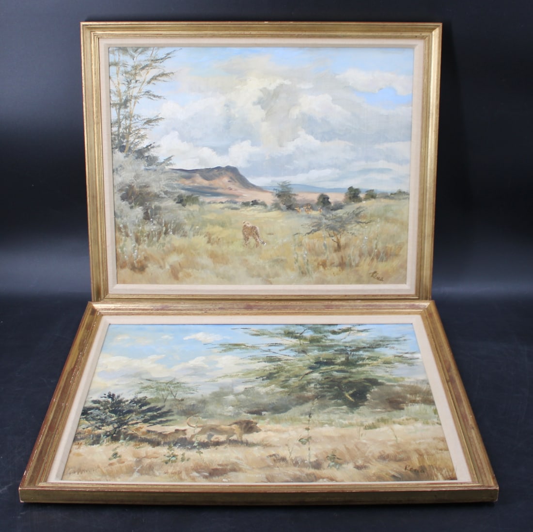 RENA FENNESSY Signed Oil On Board [2 Works]: One Lion with lioness and other Cheetah in the wild and signed lr rt. From a Rye NY estate. - Dimensions: 15.5" x 19.5" & Frame 19" x 23"