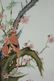 Set of 4 Antique / Vintage Chinese Porcelain - 8
