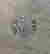 item-21057801=8