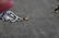 JEWELRY. 14kt White Gold, Diamond and Sapphire - 7