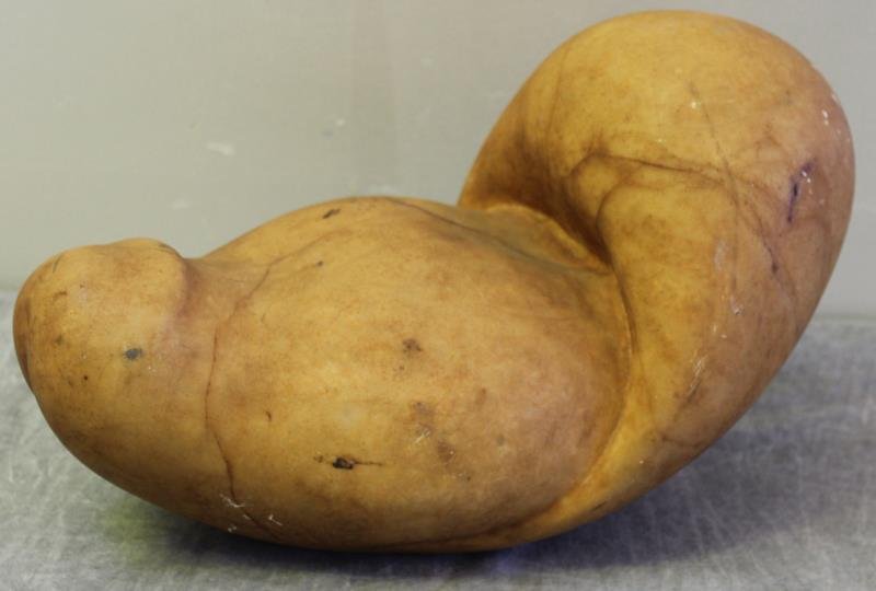 Midcentury Erotic Marble Sculpture.: Expertly conceived representing male and female sexual organs. Apparently unsigned. From a Mamaroneck, NY estate. Dimensions: 15.5" w x 8.5" d x 9.5" h. Condition: Good, dirty with several scratches.