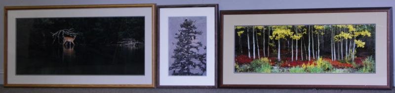 MANGELESON, Thomas. 2 Signed Limited Edition: Photographs. Untitled Deer at Riverbank - ink signed and dated 1986 lower right, numbered 412/950, sight size: 19.25" high x 48.25" wide. "November Snows, Bald Eagle" - ink signed and dated 1985 lower
