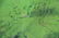 BOUCHE, Louis. Oil on Canvas/Board. Park Scene. - 6