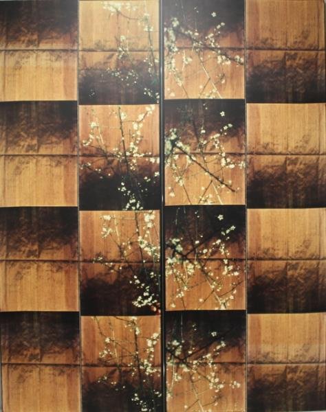 RIDEAL, Liz. Large Photographic Print. "Japanese Snow". (1 of 5)