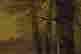 item-43082875=3