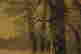 item-43082875=4