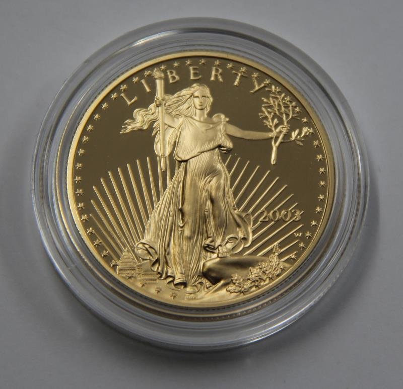 American Eagle 2003 One Ounce Gold Proof Coin (1 of 4)
