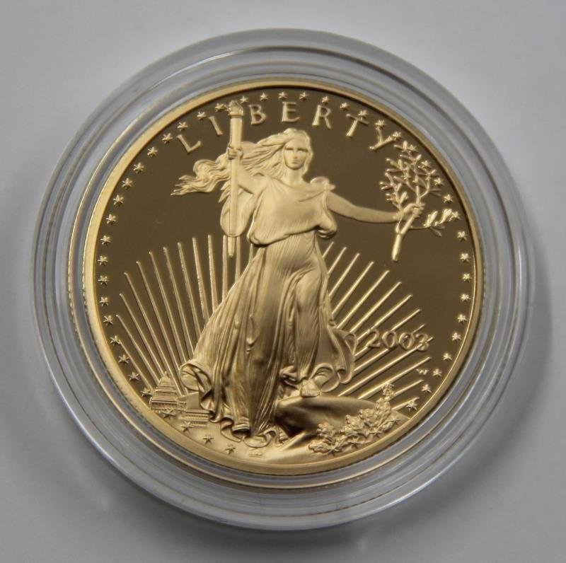 American Eagle 2003 One Oz. Gold Proof Coin (1 of 4)