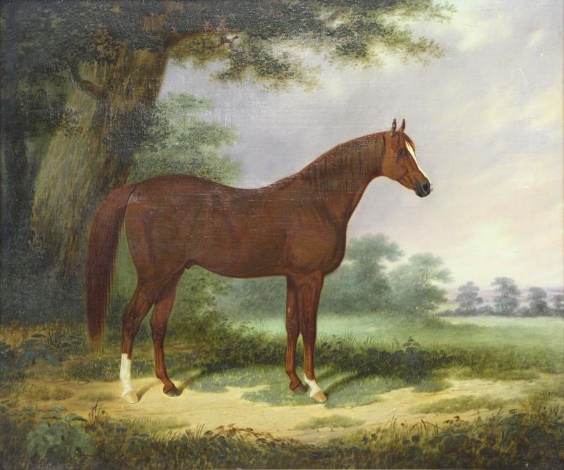 19th C. Oil on Canvas. Portrait of an Arabian: Horse. Unsigned. From the estate of Marilyn Newmark. Dimensions: 25" high x 30" wide. Condition: Old lining. Area craquelure, otherwise appears good.