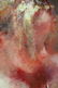 HUA CHEN. Oil on Canvas. "Blanche". - 3