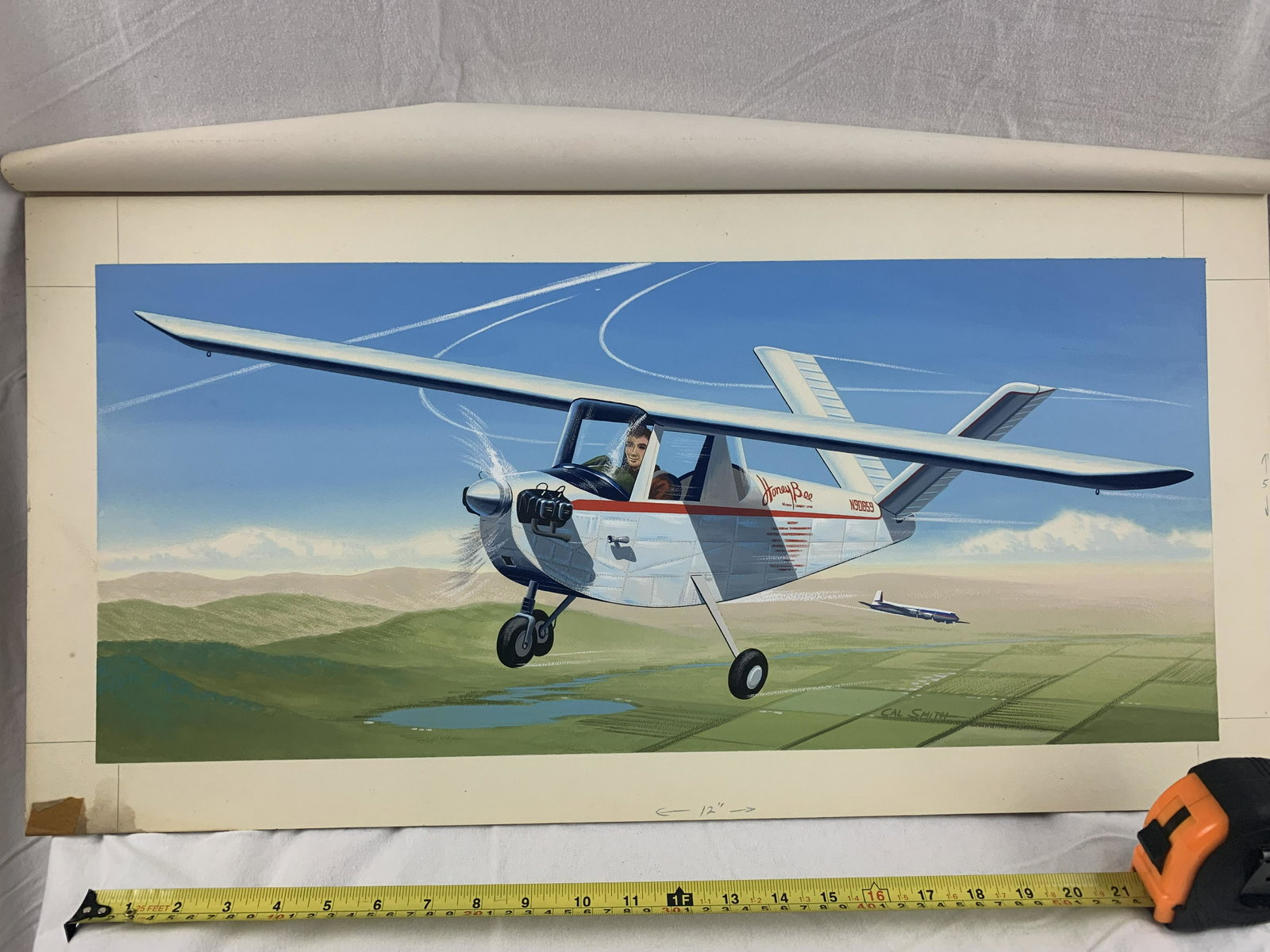 Cal Smith original concept airplane art Honey Bee: beautfully vibrant
