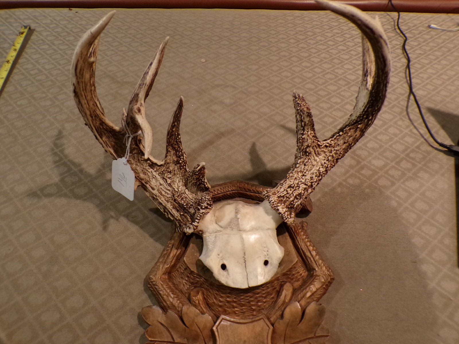 ROE DEER ANTLERS ON HAND CARVED PLAQUE: AS SHOWN IF YOU HAVE ANY QUESTIONS PLEASE ASK