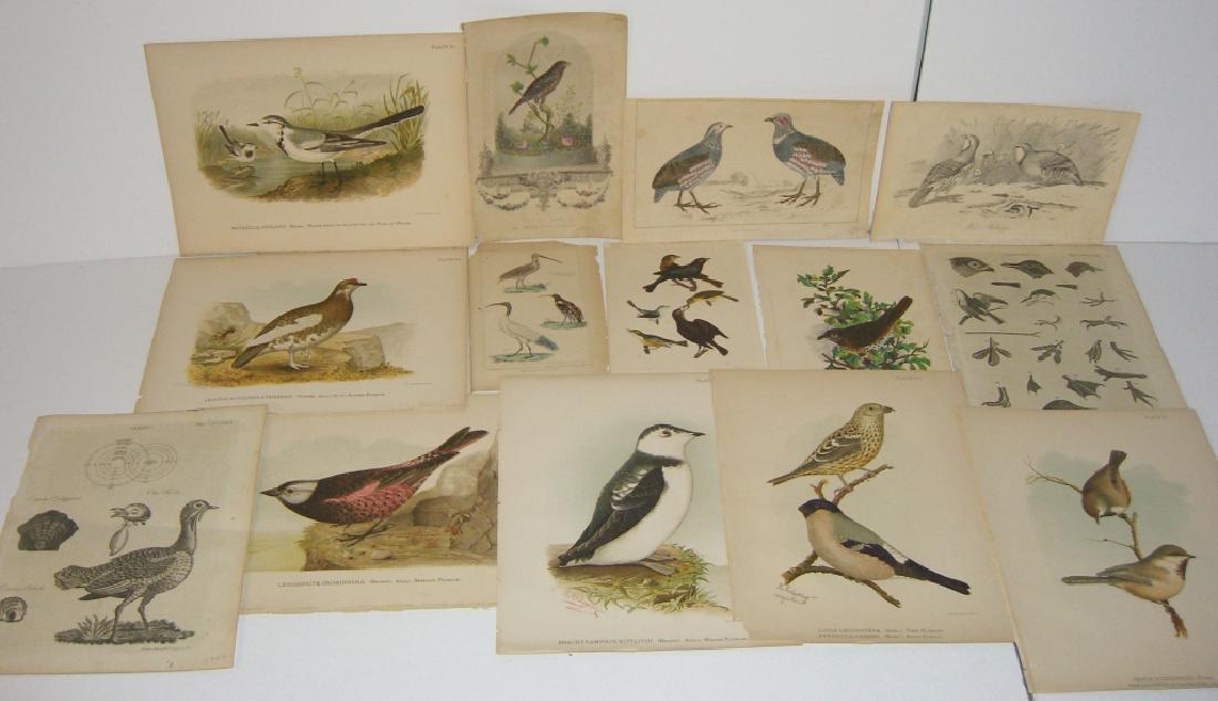 14 18th/19th century lithographs/engravings (1 of 20)