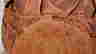 item-99204401=4
