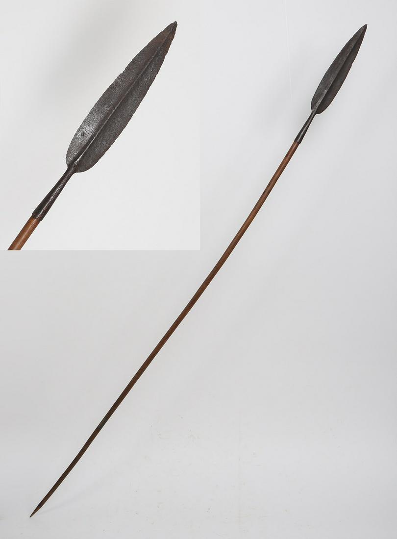 African Long Spear (1 of 6)