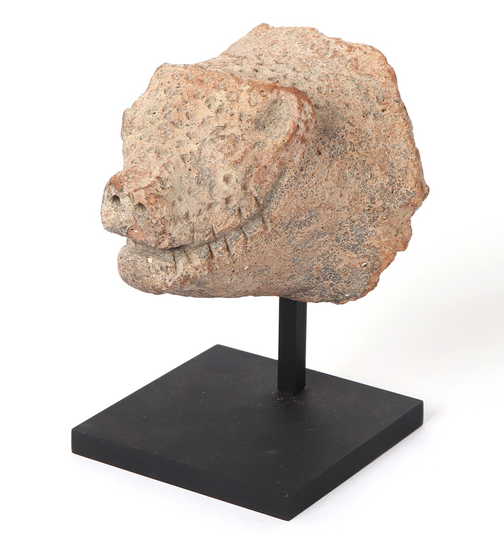 Etruscan Terracotta Boar Head Protome, 5th century BC: Massive section of highly stylized boar, with distinctive pig snout and short ears. The boar as a grin like expression with incised teeth and slit mouth. Size 7" H on included custom stand, 5 1/4" L x