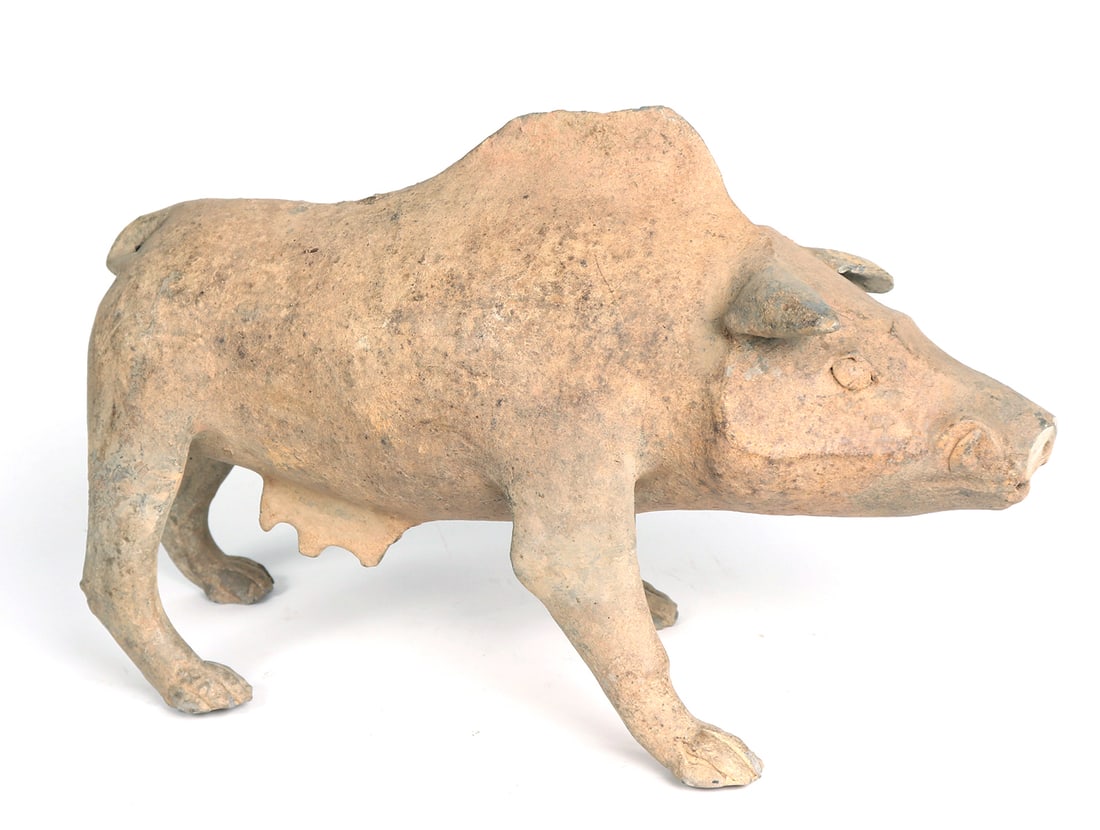 Large Chinese Han Dynasty Pottery Boar: Han Dynasty, ca. 206 BCE to 220 CE. Wonderfully crafted wild sow, she stands in a forward motion pose on all four paws, curled tusks and ears pointed outward. Incised almond eyes, long snout with pier