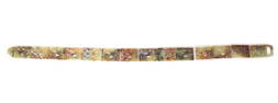 Finely Detailed Chinese Jade Belt, Repeating Dragons