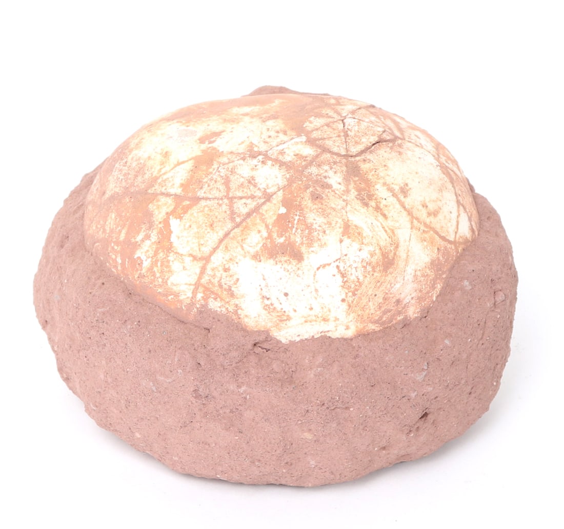 Fantastic Fossilized Dinosaur Egg: Wonderfully preserved in a natural earth matrix, this dinosaur egg is approximately 65 million years old. Absolutely great example of some of the most exciting times in history. Size 5 1/2" W x 3 1/2"