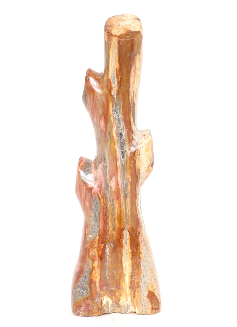 Lovely Polished Petrified Wood Jewelry Stand (1 of 6)