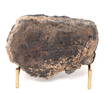 Meteorite on Stand, 4 Million Years Old