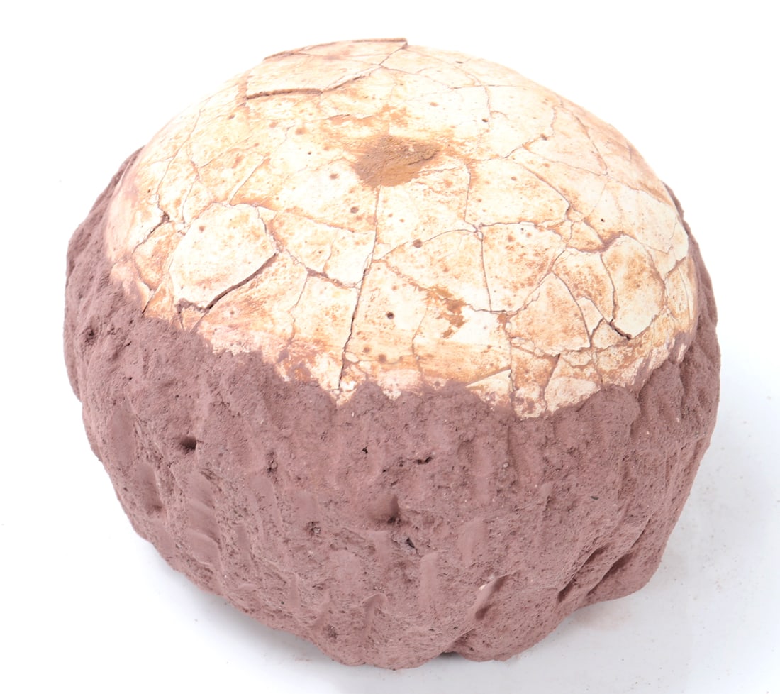 Wonderful Perfectly Preserved Ancient Dinosaur Egg: Ancient World ca. 100 to 66 million years ago. Fine ancient preserved dinosaur egg from millions of years ago complete with red sandstone earthen deposit surrounding the base. Although quite large for