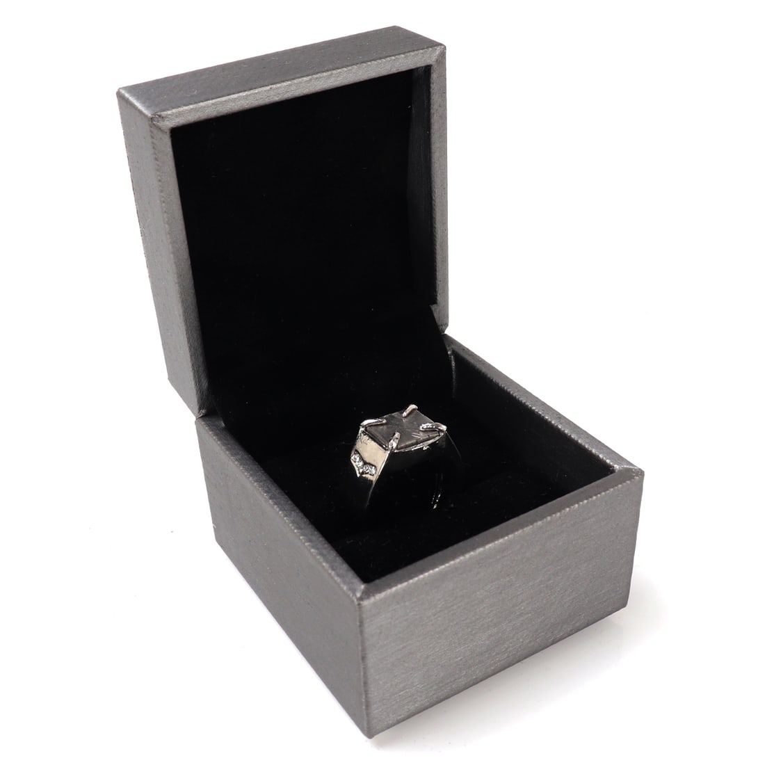 Wonderful Iron Meteorite Slab Ring (1 of 8)