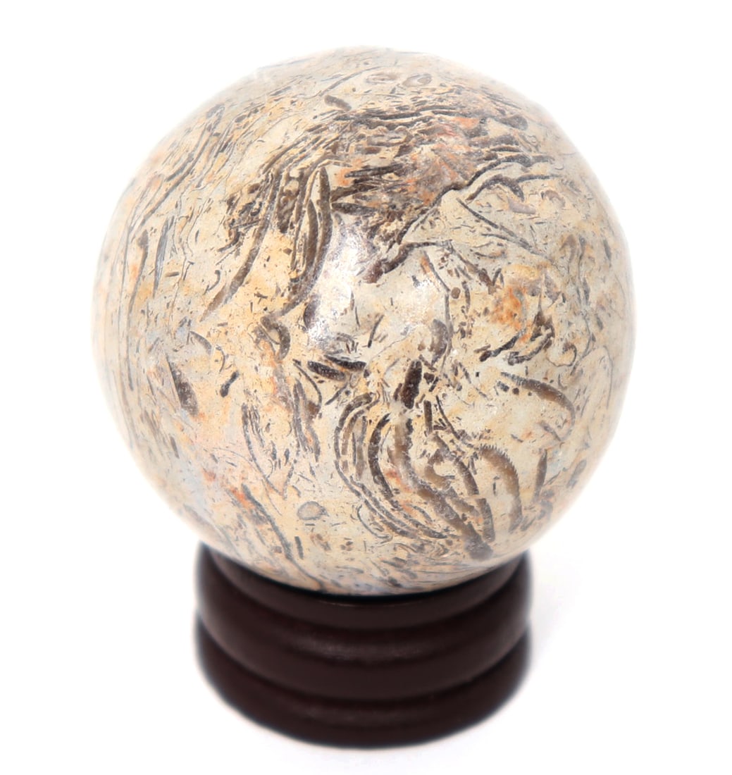 Wonderful Polished Sea Shell or Coral Sphere (1 of 5)