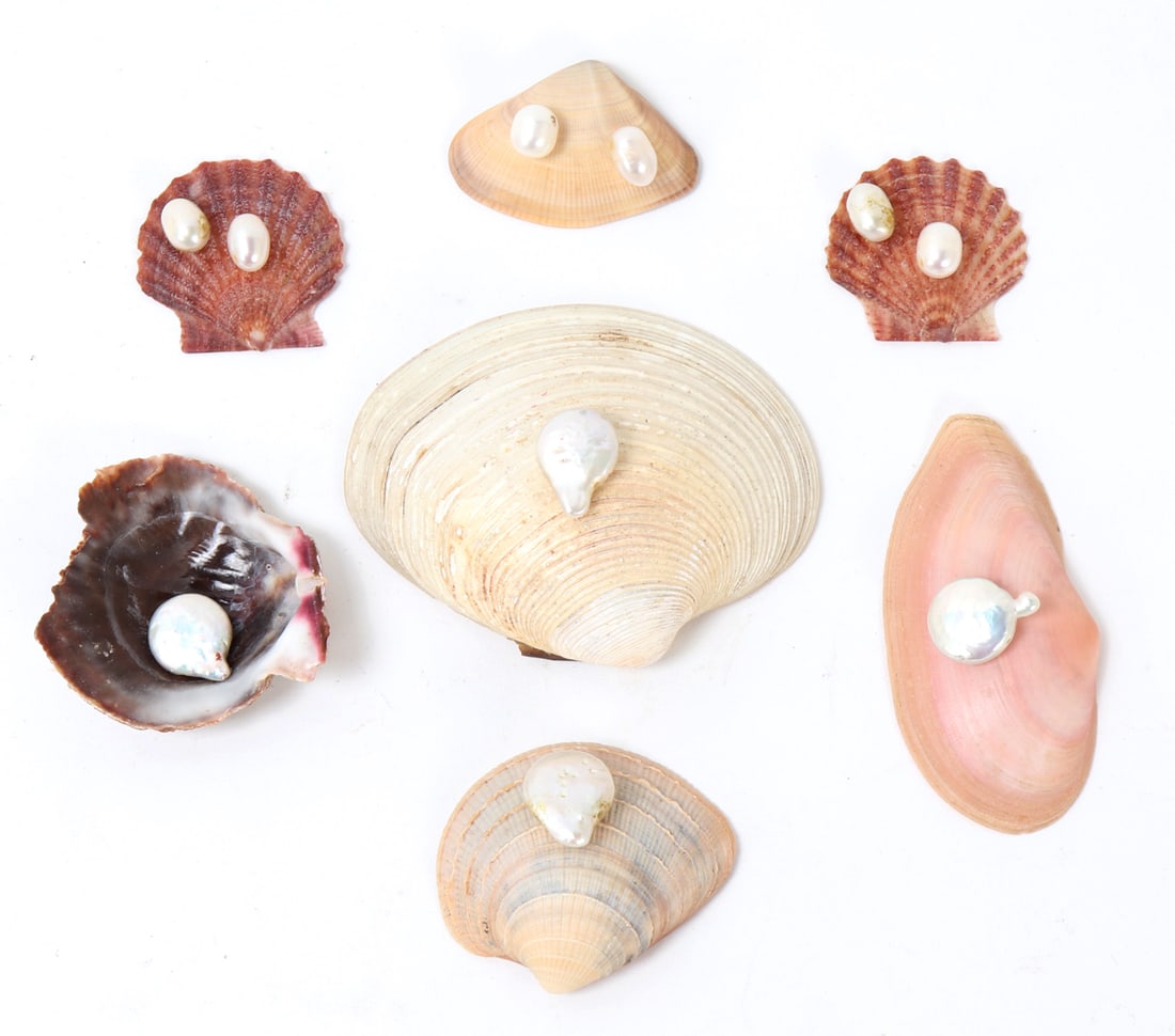 Wonderful Collection of 7 Sea Shells & 10 Pearls (1 of 7)