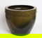 item-208157431=1