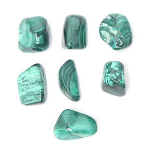 Group of Seven Malachite Pieces: Six incredible and unique pieces of perfectly polished malachite with stunning ripples and waves throughout each. Size of largest 1 1/2" L