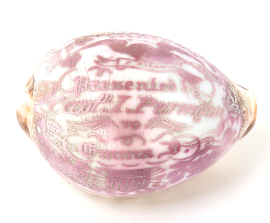 Beautifully Detailed Etched Sea Shell: Gorgeous sea shell intricately etched with floral designs, coat of arms, nautical compass and more. Dedication to the face - Presented by Captain I. Purington to Emma D. Beautiful lavender purple marb