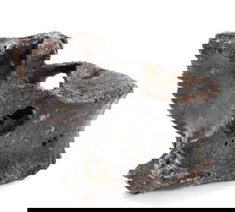 Ancient Fossilized Dinosaur Spine Section: Wonderful ancient fossilized dinosaur spinal section with beautiful aged patina throughout. Likely belonging to a smaller dinosaur based on the size. Size 4 1/8" L, weight 220 g