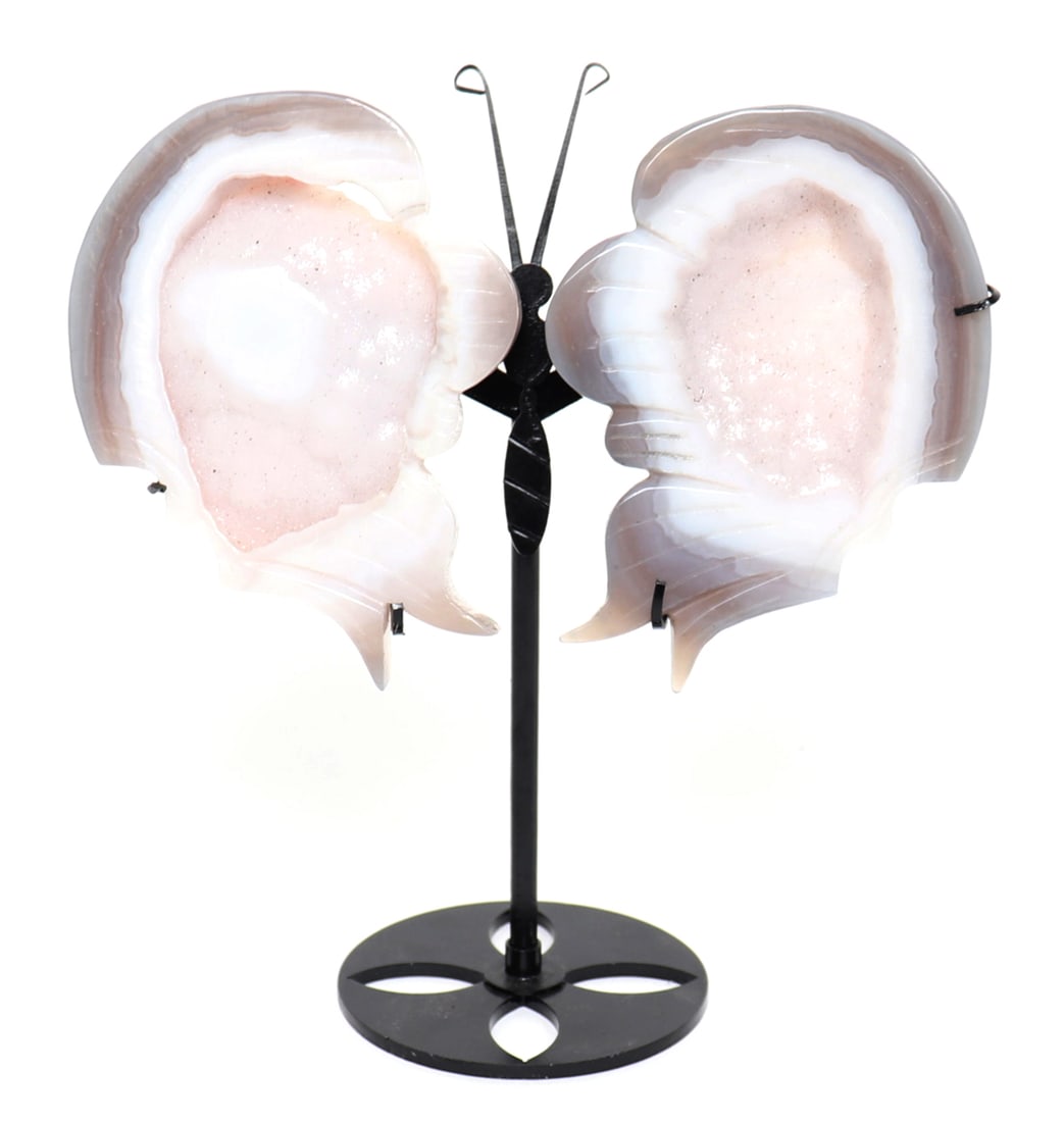 Gorgeous Amethyst Winged Butterfly (1 of 6)