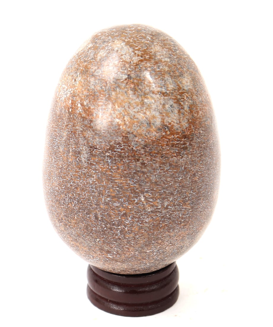 Lovely Dinosaur Bone Polished Egg w/Stand: Ancient dinosaur bone section take and polished into a handsome egg shape with beautiful natural colors throughout. Size 3" L x 2" W x 2" H, weight 280g