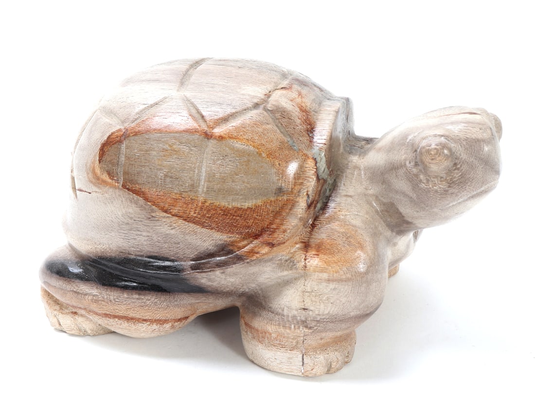 Fine Ancient Petrified Wood Carved Turtle (1 of 8)