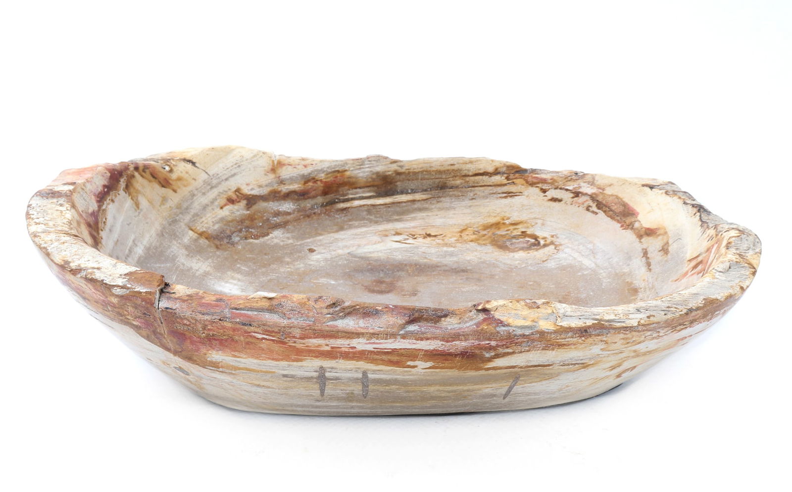 Ancient Petrified Wood Oval Bowl (1 of 7)