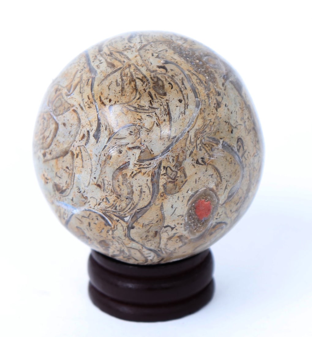 Lovely Preserved Dinosaur Bone Sphere: Wonderful perfectly polished dinosaur bone sphere with incredible coloring throughout from marrow and natural decomposition. Size 2" W, weight 164 grams