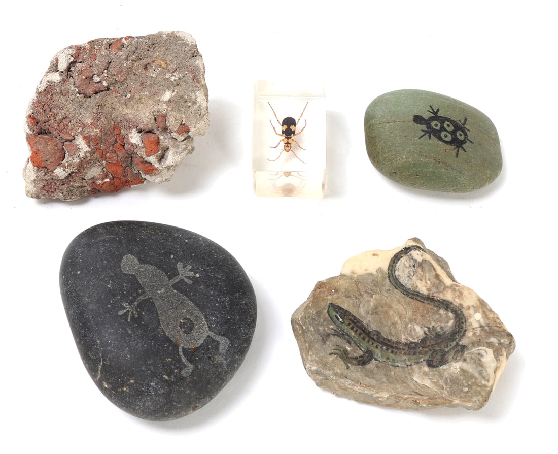 Group Lot of Mixed Fossils and Mounted Beetle: Fun group lot of mixed fossils, minerals and beetle specimen mounted for display. Size Lizard Rock 3 1/8" L, Weight 150 g