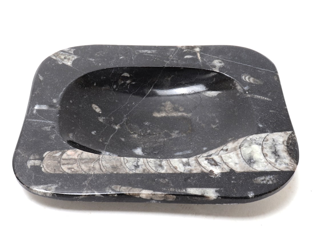 Orthoceras Fossil Jewelry or Trinket Dish: Beautiful Orthoceras fossilized dish with lovely natural earthen deposits and root marks throughout. Useful for keys, rings, bracelets and small trinkets. Size 5 3/4" W x 4 5/8" H