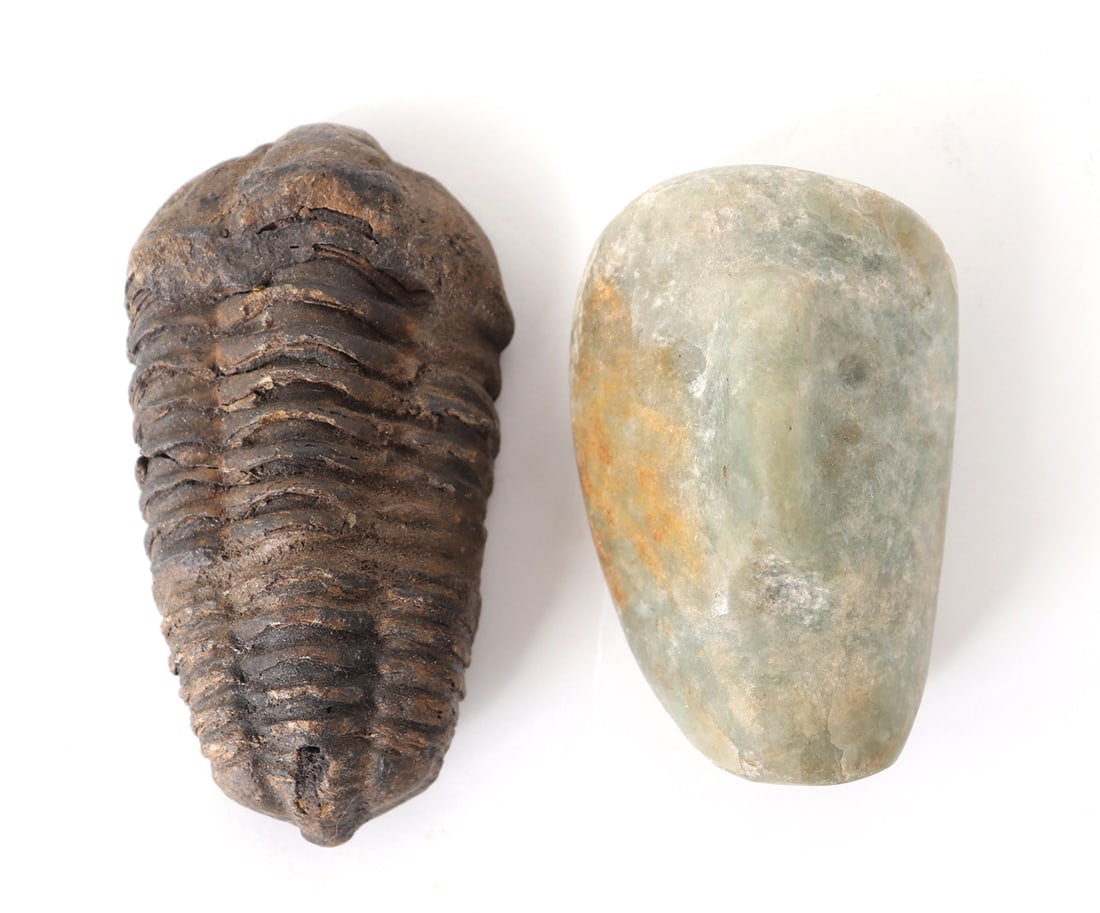 Ammonite Fossil & Mezcala Green Stone Mask: Left an intact ammonite fossil in dark brown. Right a Mezcala stone carved mask in a green hardstone. 500-200 BCE. Size of largest 3 1/4" L (fossil)Collected prior to 2008, ex-Lacy Gallery (Vanna & Le