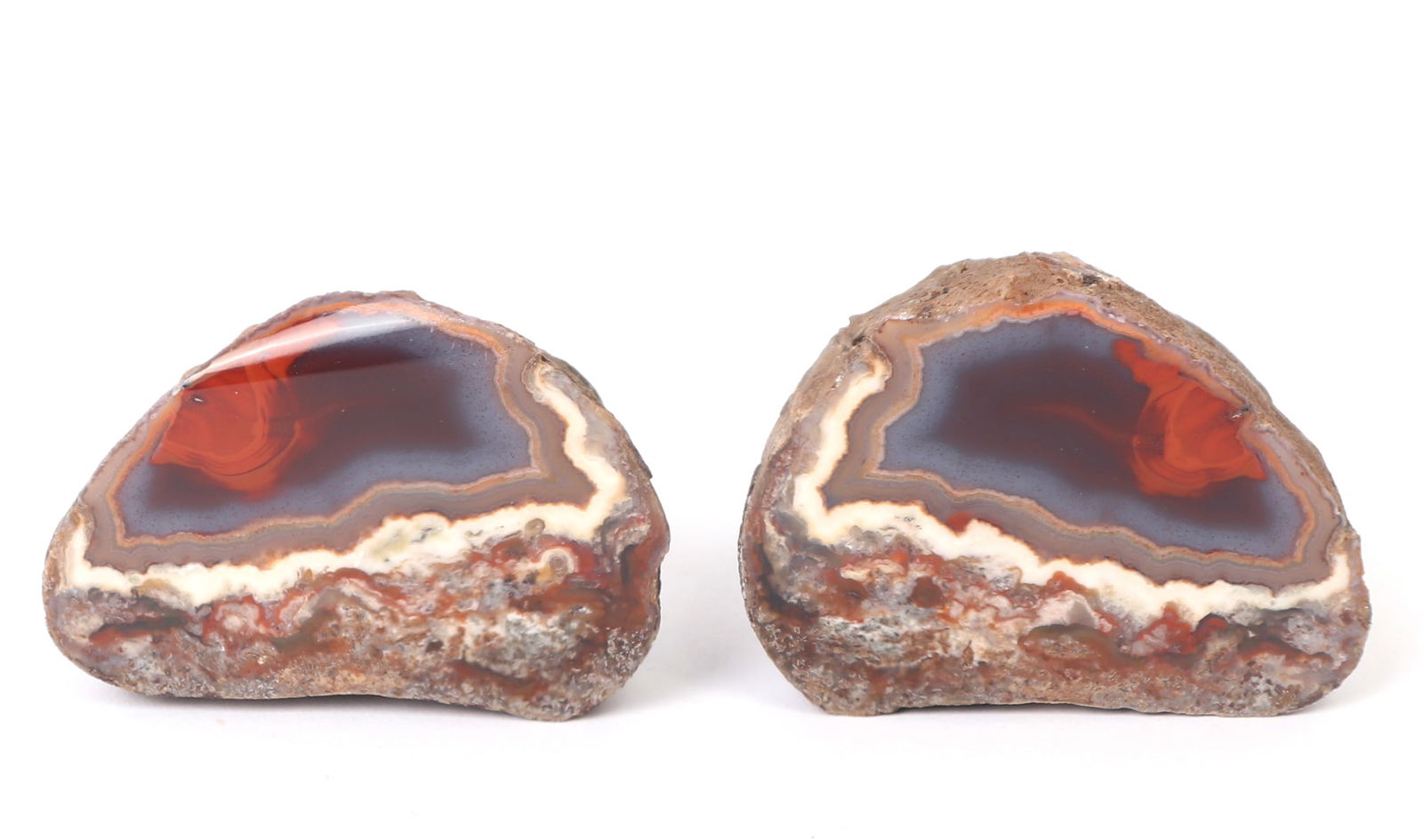 Cut and Polished Condor Agate (1 of 5)