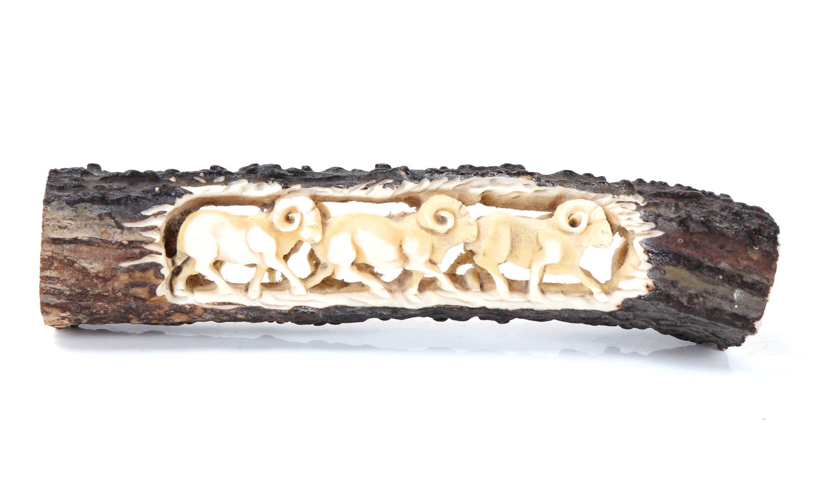 Native American Big Horn Sheep Horn Carving (1 of 7)