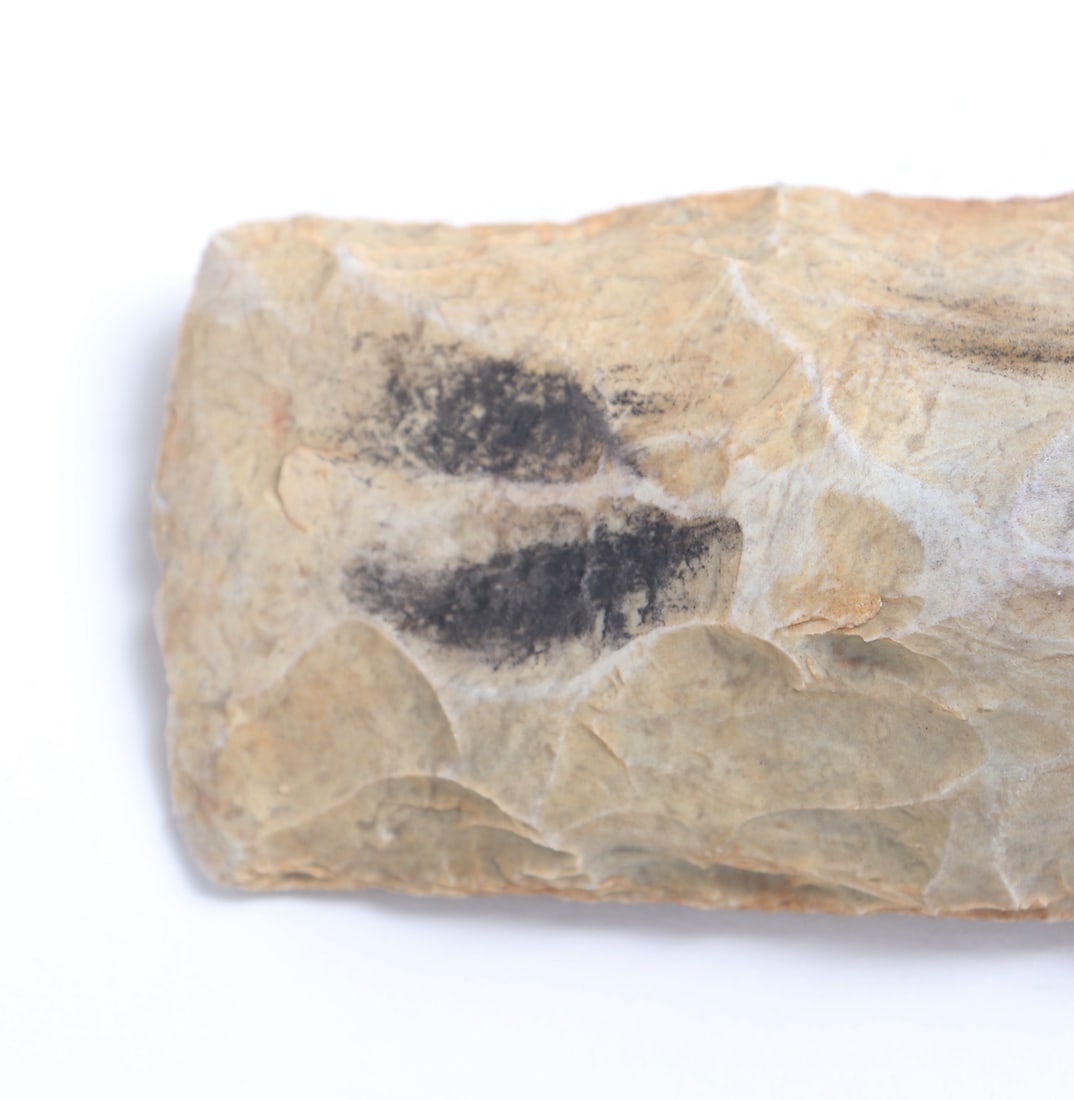 Neolithic Stone Axe Head - 2