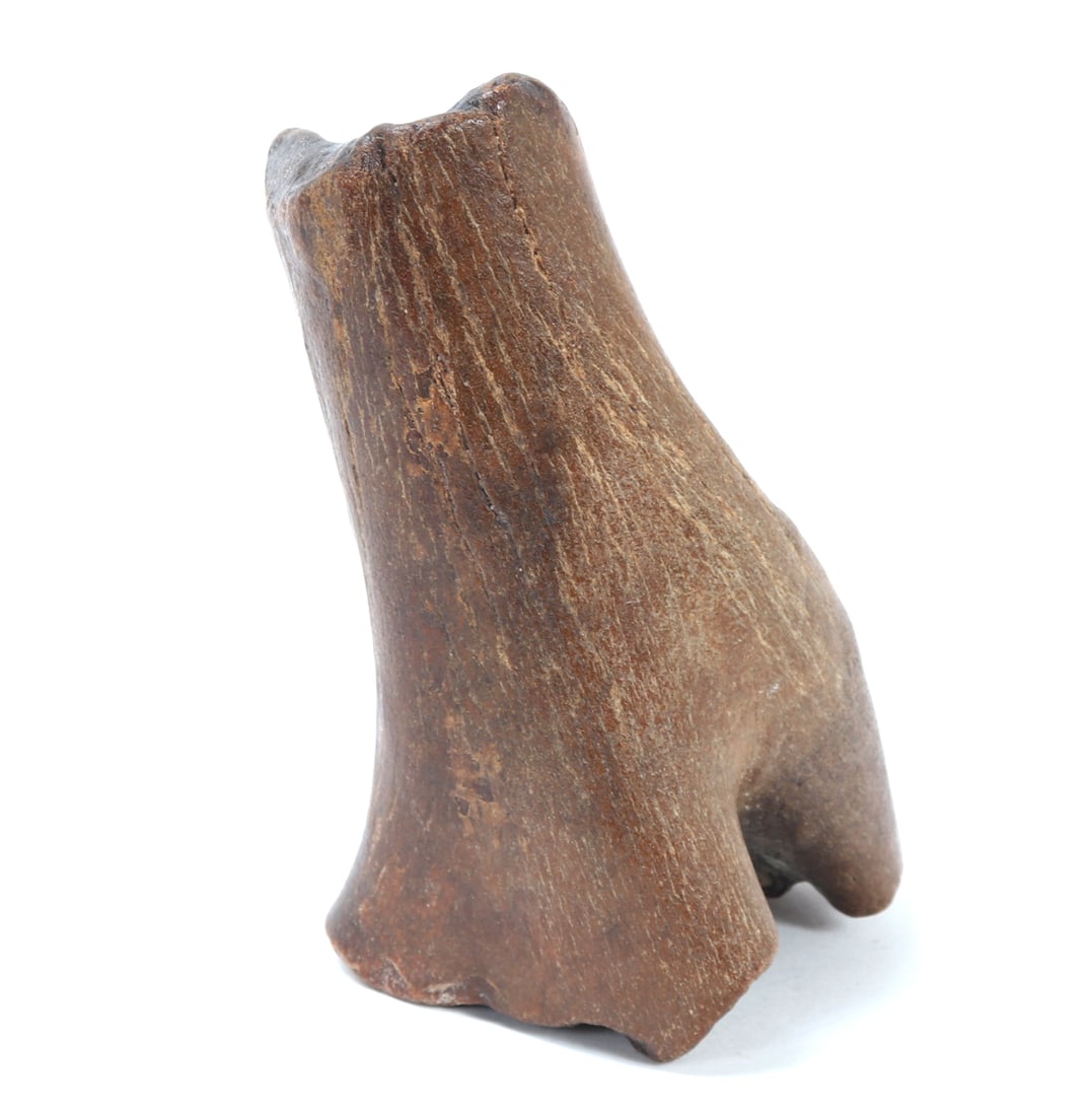 Ancient Fossilized Dinosaur Bone - 2